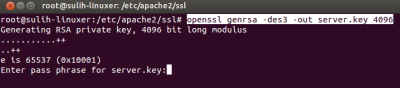Generate rsa key pair linux openssl update